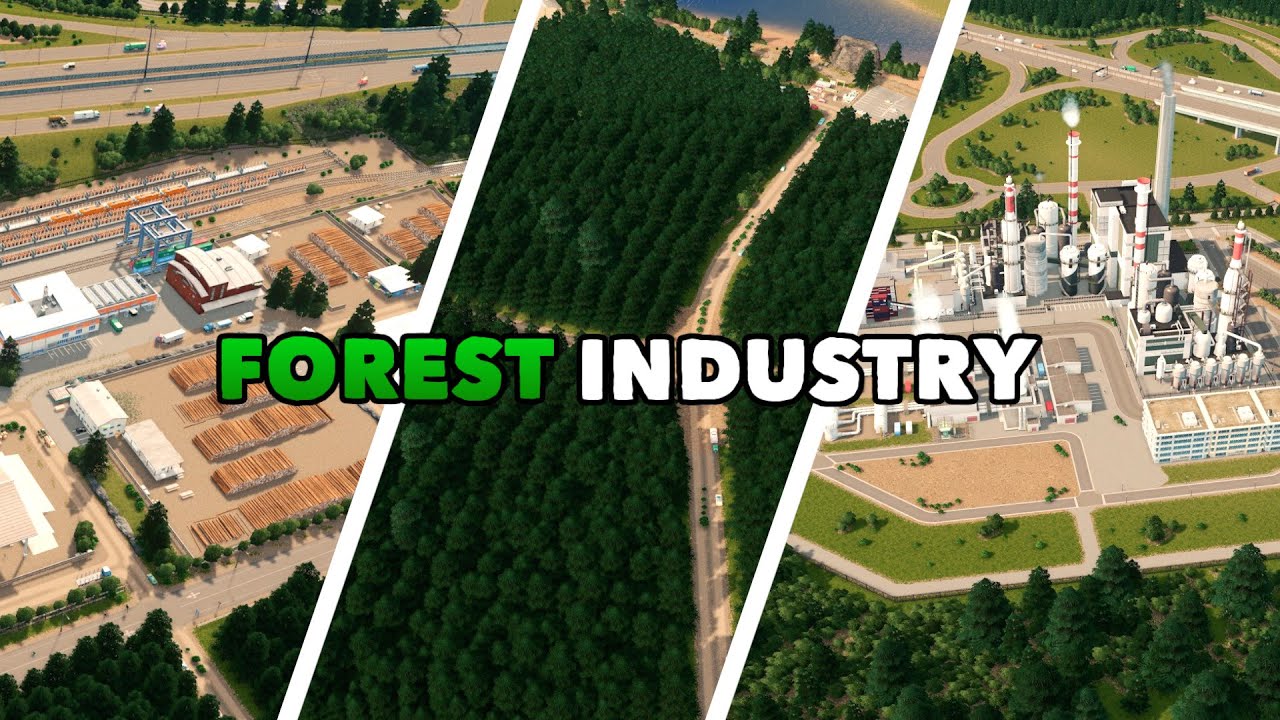 Building a Forest Industry and Paper Factory in Cities: Skylines | Dream Bay Ep.23