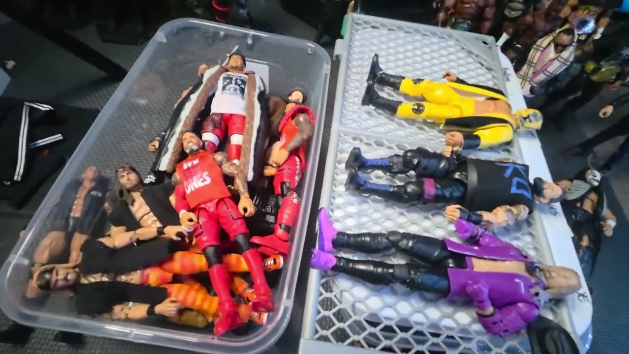 My WWE Fig Fed Roster 2025