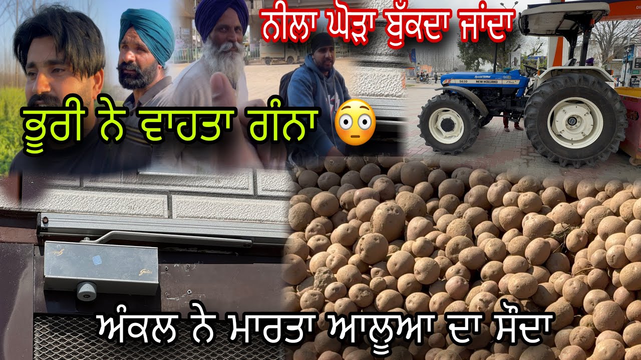 ਅੱਜ ਮਾਰਤਾ ਆਲੂਆ ਦਾ ਸੌਦਾ 