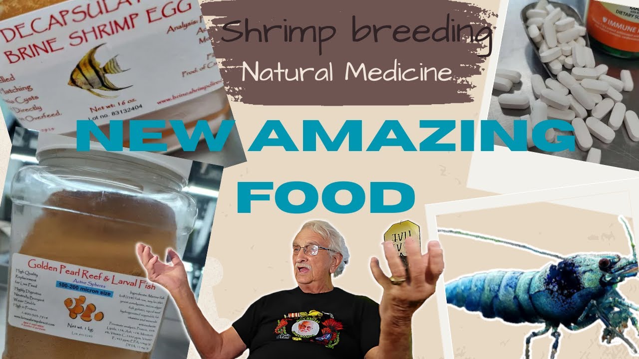 Breeding Shrimp, Natural Medicine, New Amazing Food, and More