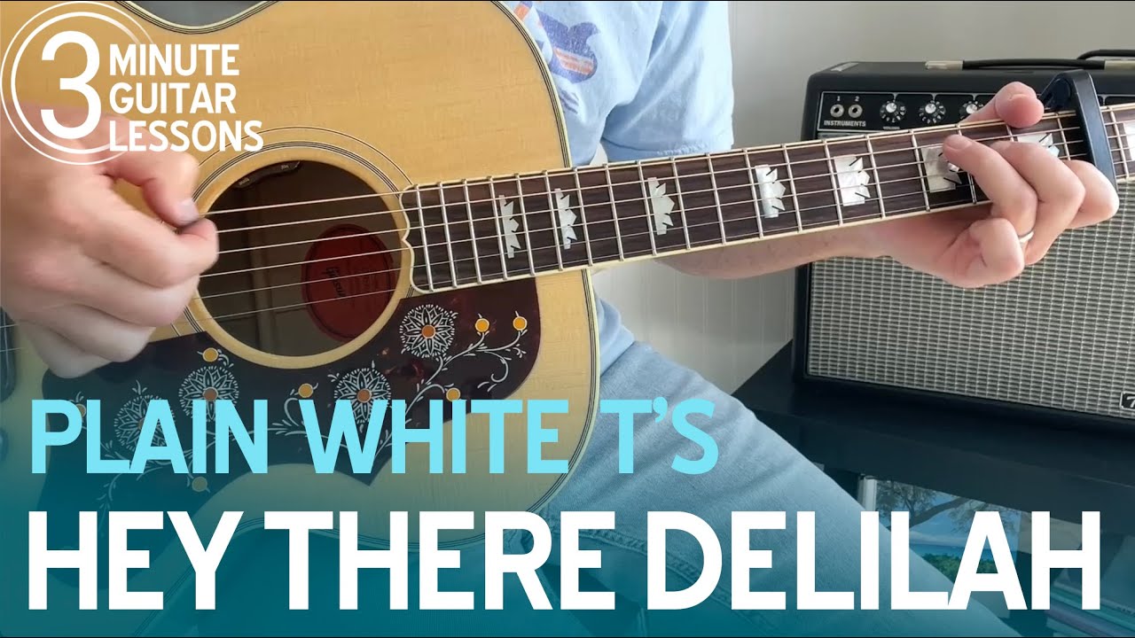 Learn Hey There Delilah in 3 Minutes! Beginner Guitar Lesson (Plain White T's)