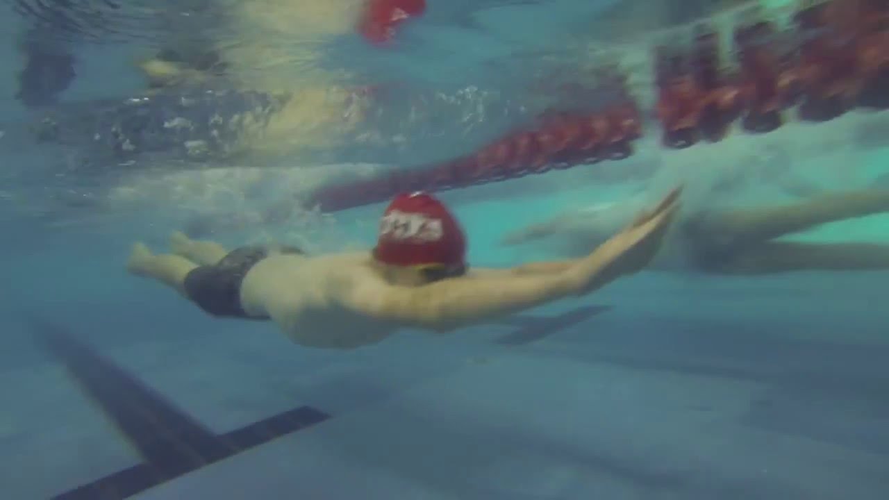 StAC: Swimming Sports 2014