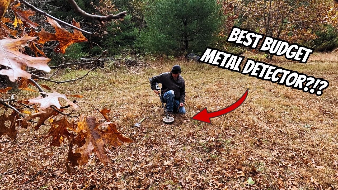 BEST Metal Detectors for Beginners (2024) - Ricomax