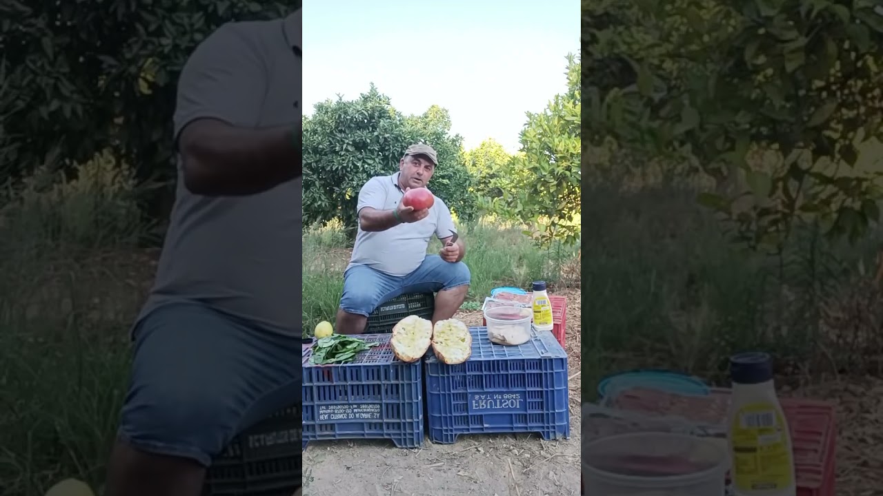 Mira acite #bocadillocbsano #foodvideos #bocaditos #pesca #food #cocina