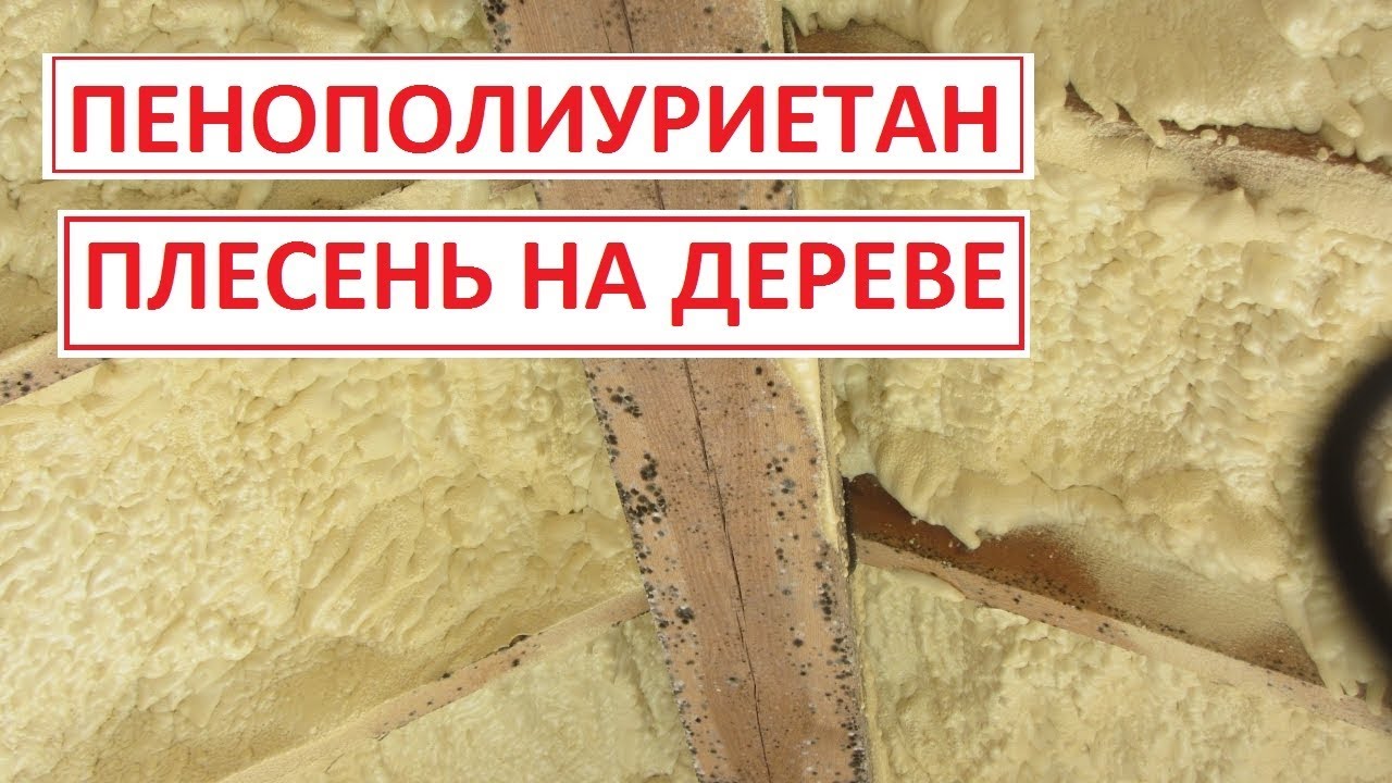 Пенополиуретан(ППУ) // плесень на дереве