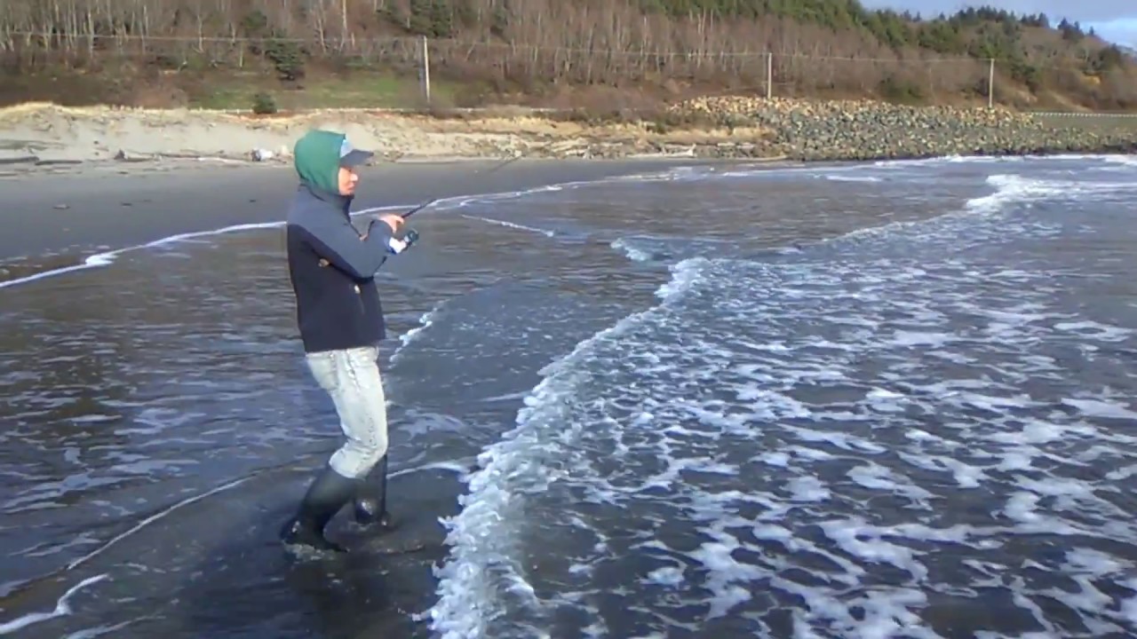 WA Fish Quest EP 37:  Silver Surfperch