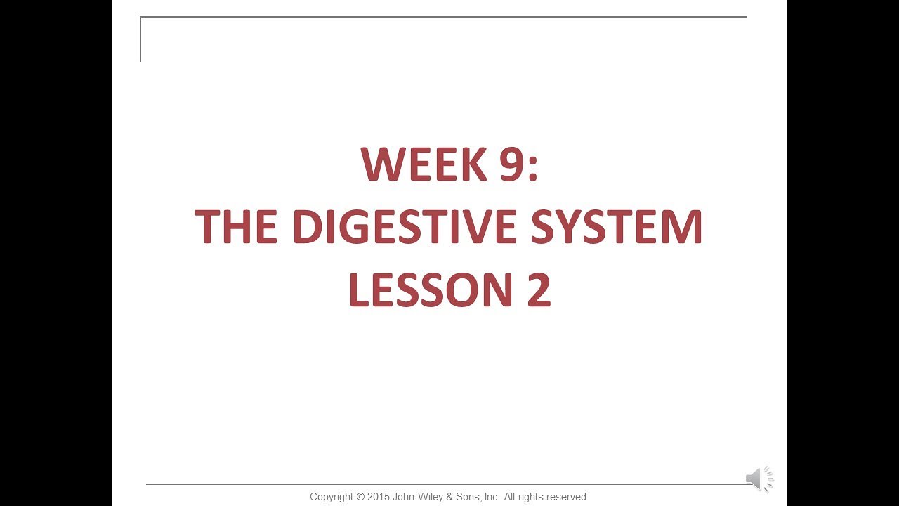 HAP201 9_Digestive System_ 2 NARRATED
