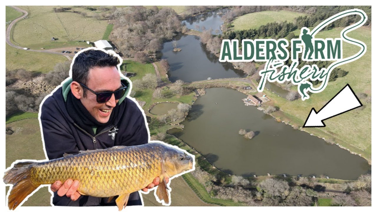 Alders farm fishery Ash lake day session
