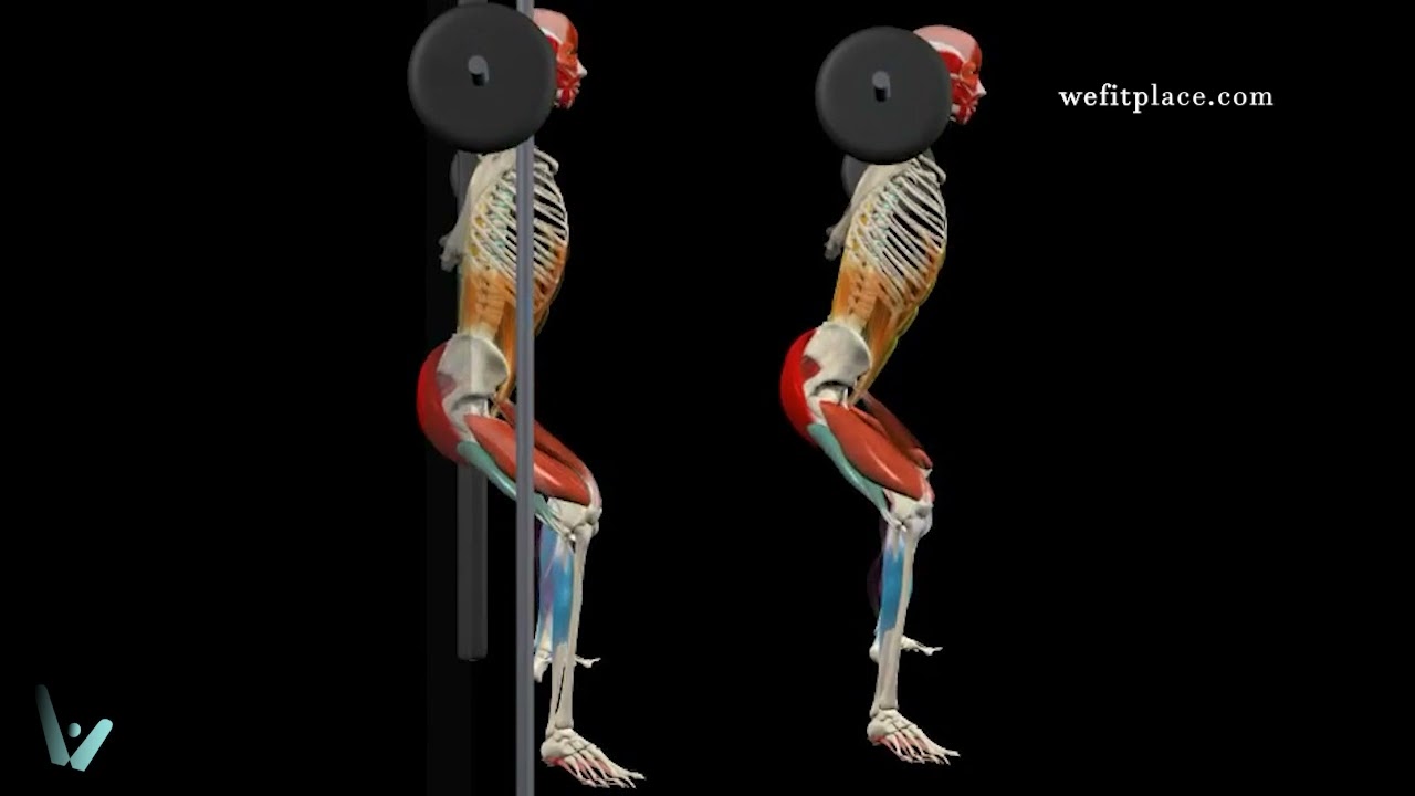 Como  HACER😱 Sentadilla SUMO MULTIPOWER🍑 - Análisis Biomecánico EN 1 MINUTO 📍