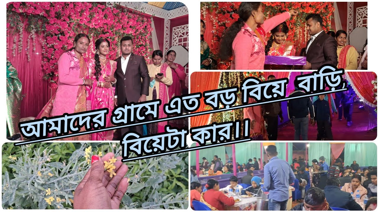 আমাদের গ্রামে এত বড় বিয়ে বাড়ি, বিয়েটা কার।