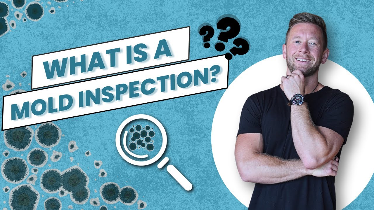 What is a Mold Inspection? (Don't Hire an Inspector til you Watch THIS)
