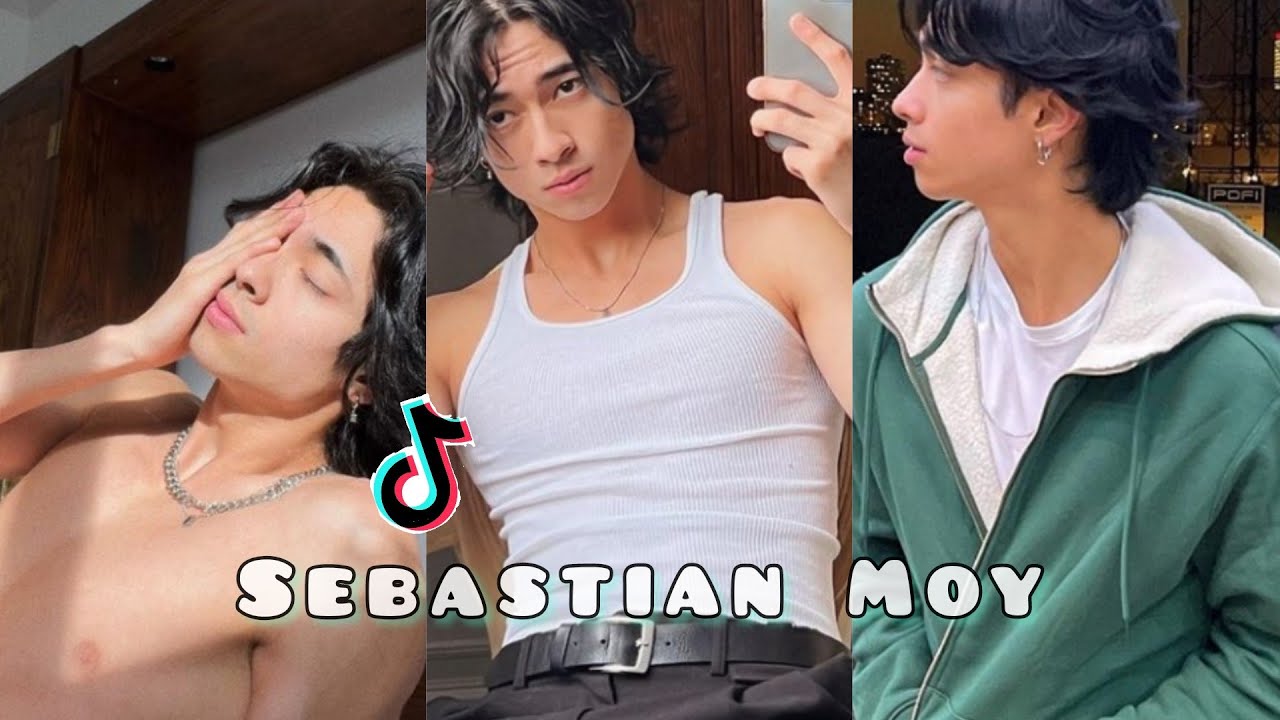 Sebastian Moy - tiktok compilation