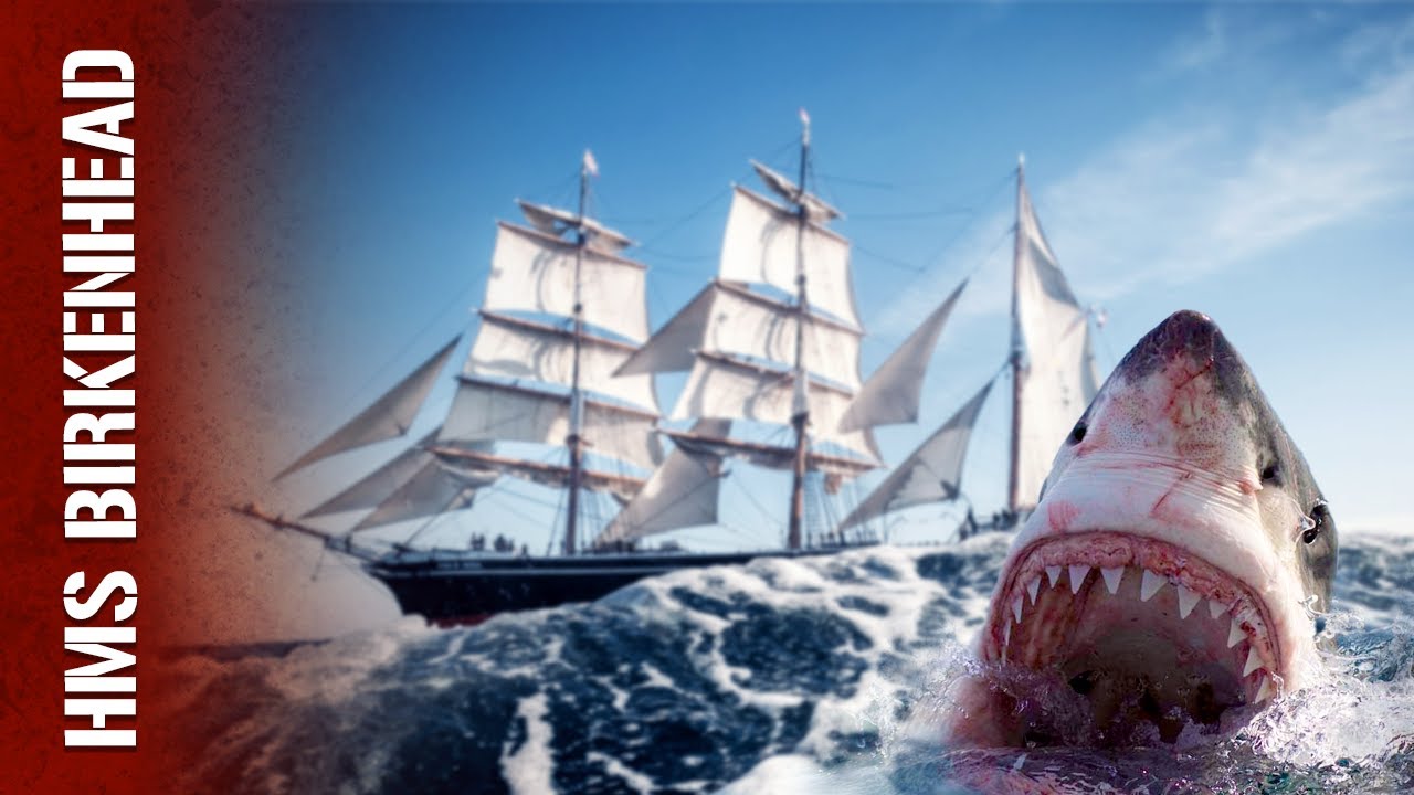 444 Men Were Eaten by Sharks!!