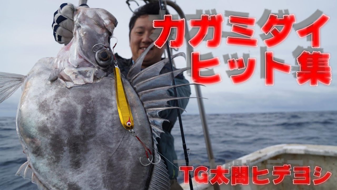カガミダイヒット集