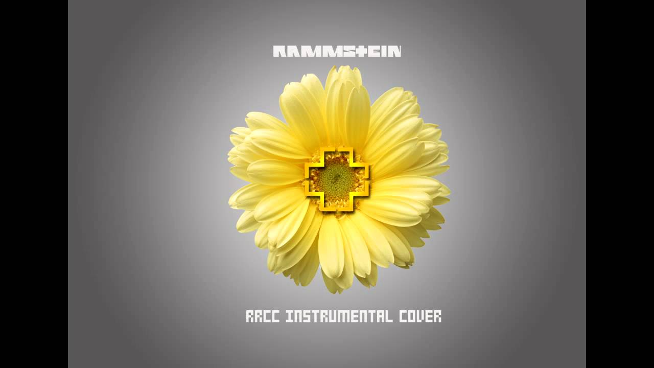 Rammstein - Der Meister (instrumental cover)