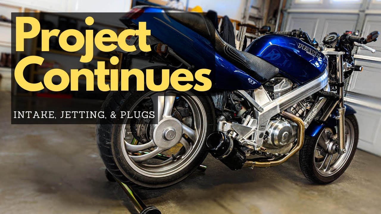 ProjectPeppy | FINALLY Hawk Project Continues!