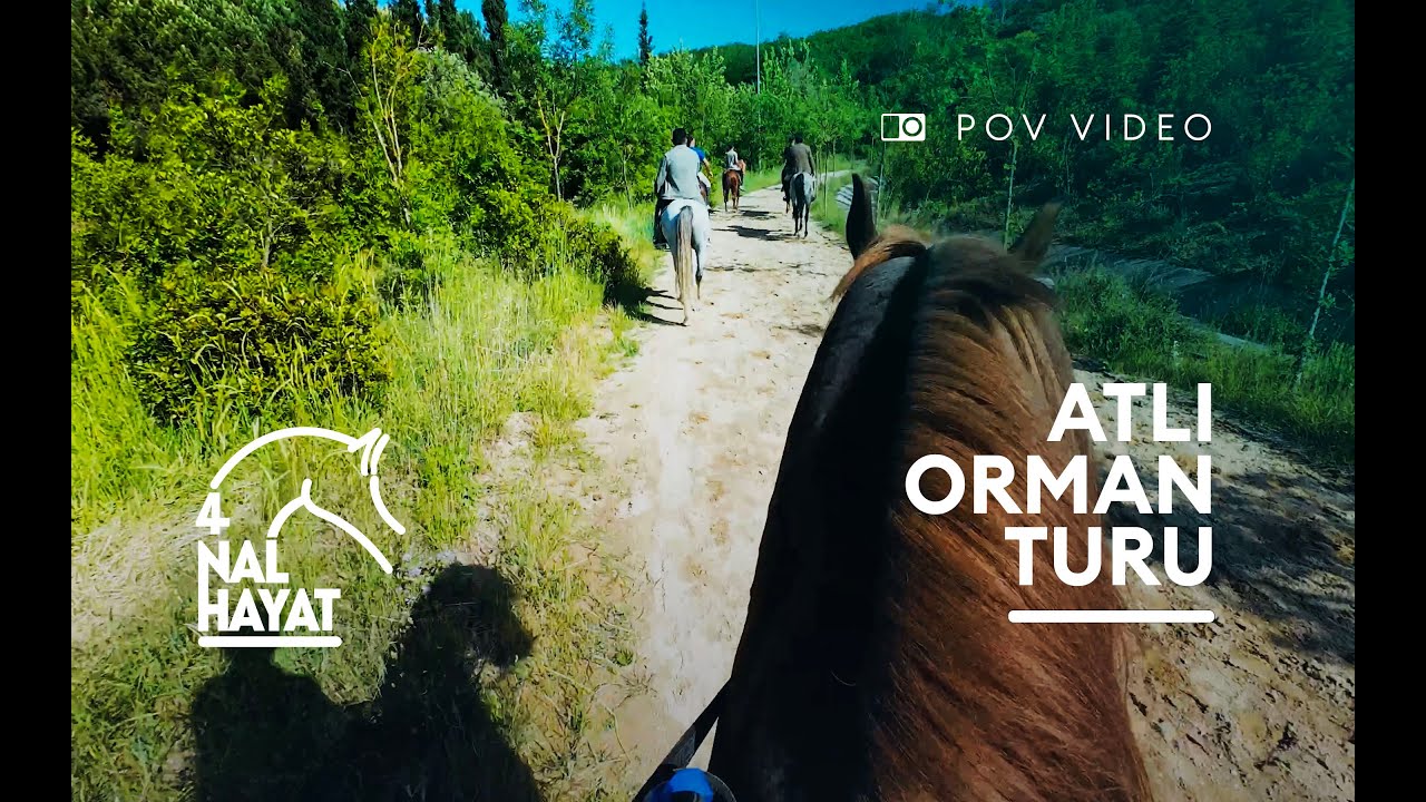 6 Kişiyle Atlı Safari! | POV D&ouml;rtnal ve Doğada Ata Binme &ndash; Kocaeli &Ccedil;ayırova