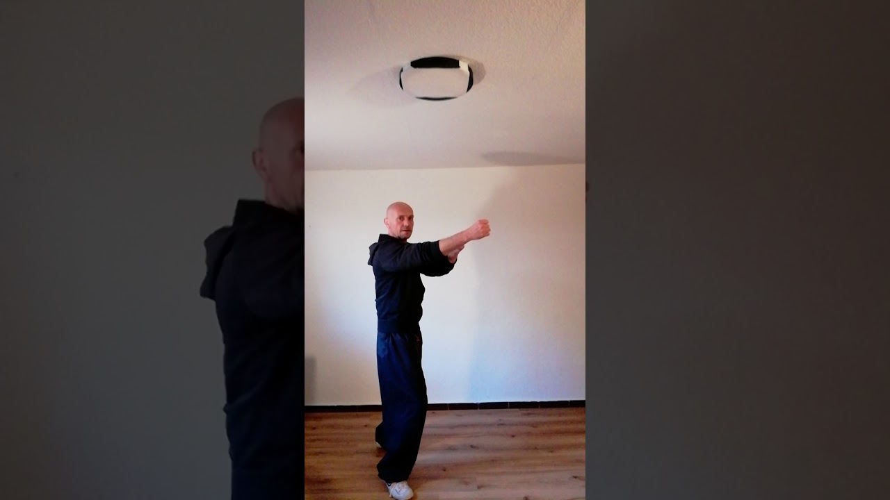 Sifu Frank Kohlhase's Wing Tzun Tutorial - Schrittarbeit / Ausfallschritt