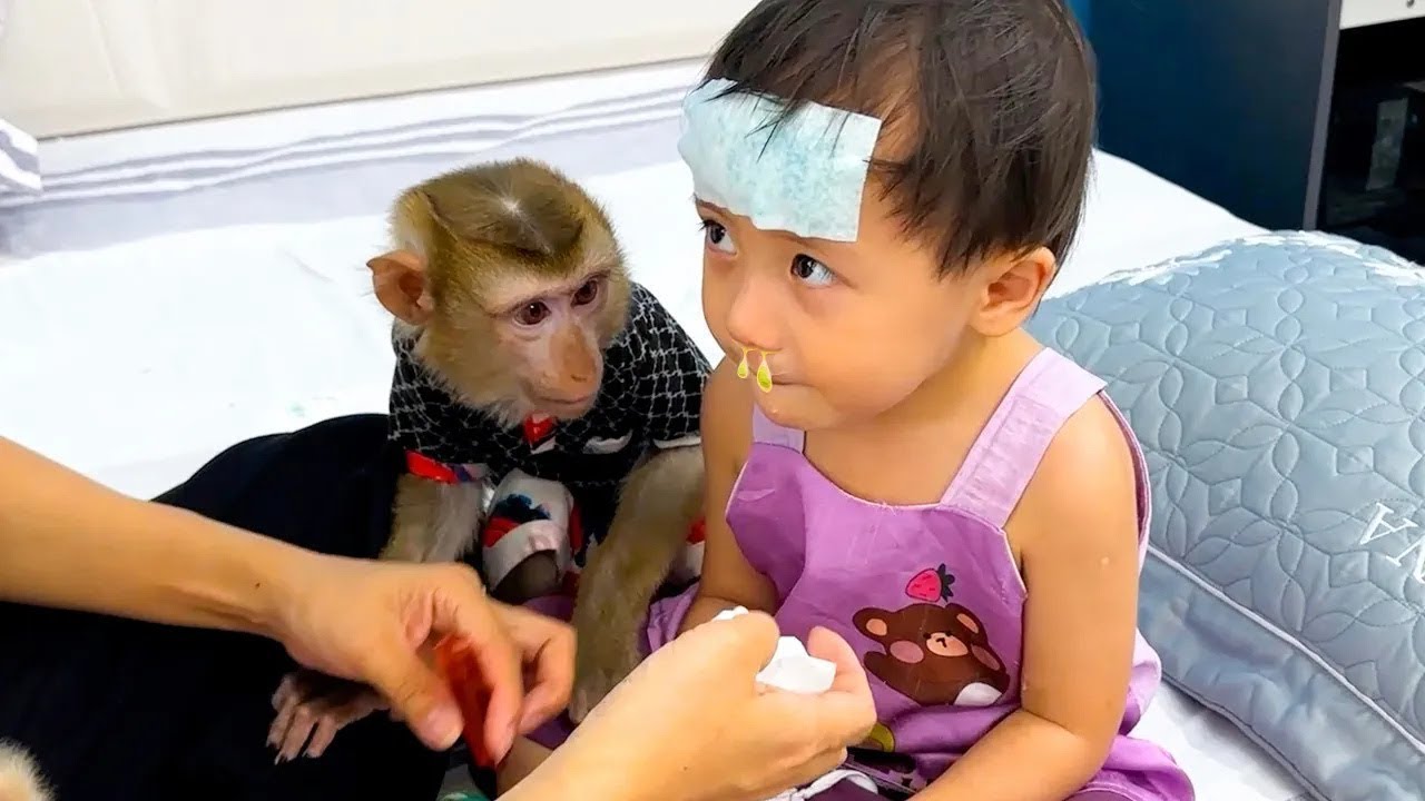 Monkey Kaka felt worried when saw Diem was sick.