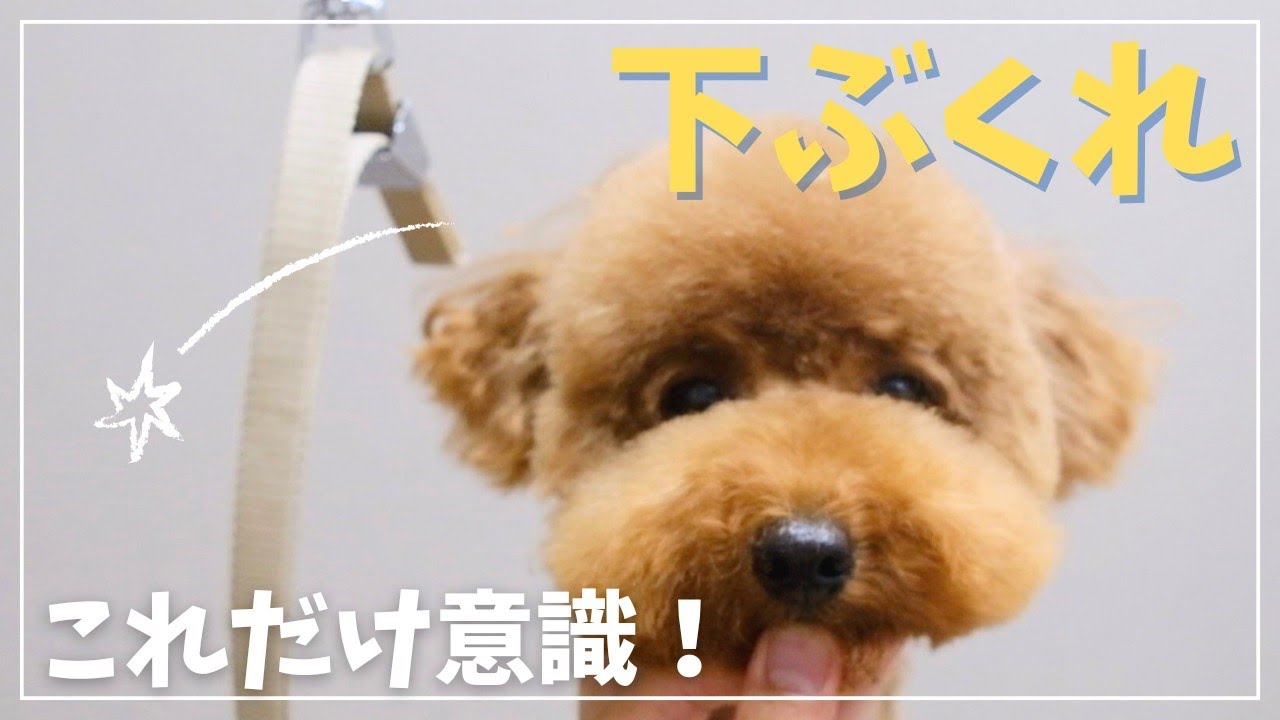 【リクエスト：下膨れ】これだけ意識するとおしゃれカットに大変身！！