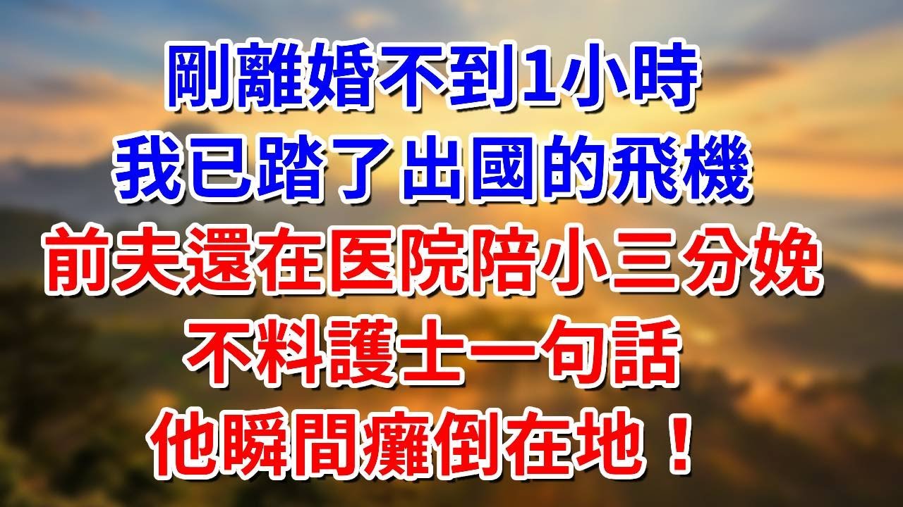 剛離婚不到1小時，我已踏了出國的飛機，前夫還在陪小三分娩，不料術後護士一句話，他瞬間癱倒在地！ #阿木講故事#為人處世#生活經驗#情感故事#養老#睡前故事