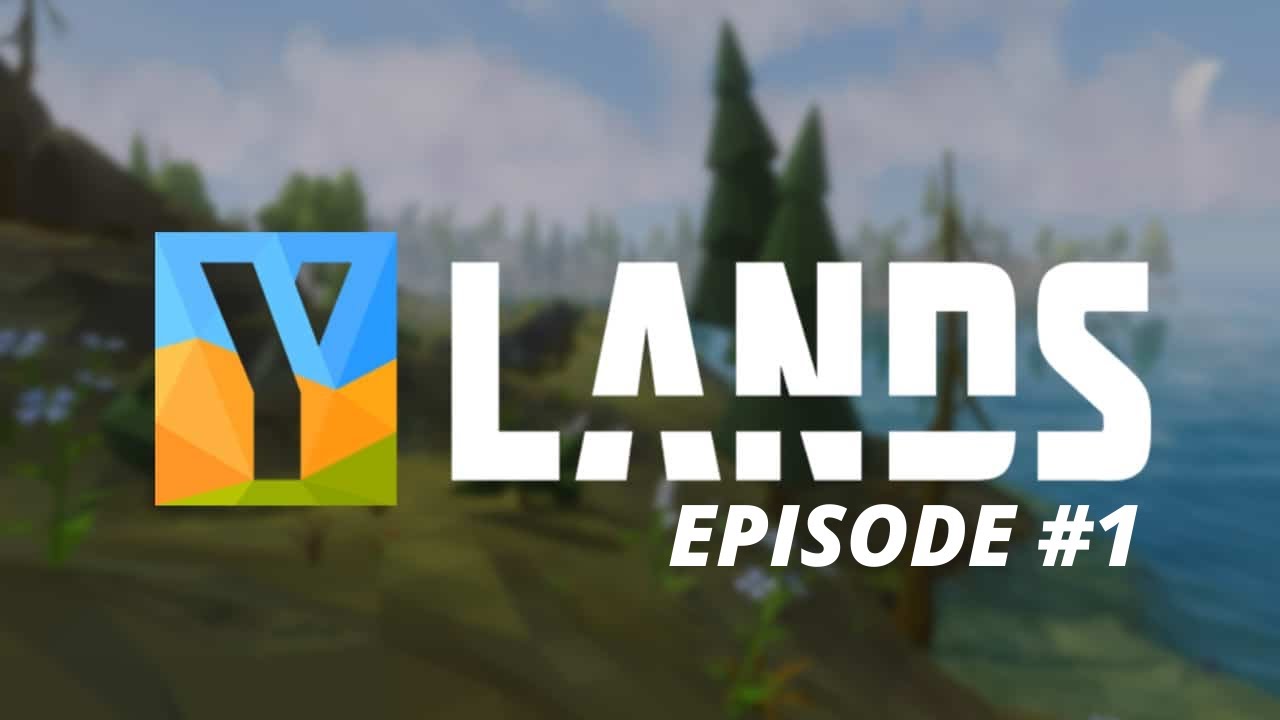 Les Aventuriers de l'h&ocirc;pital psychiatrique perdu, Ylands &eacute;pisode 1