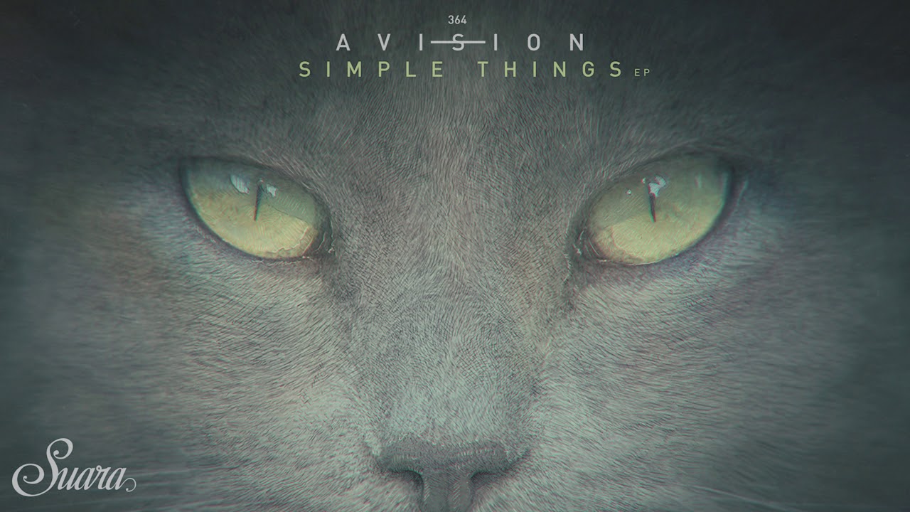 Avision - Changing (Original Mix) [Suara]