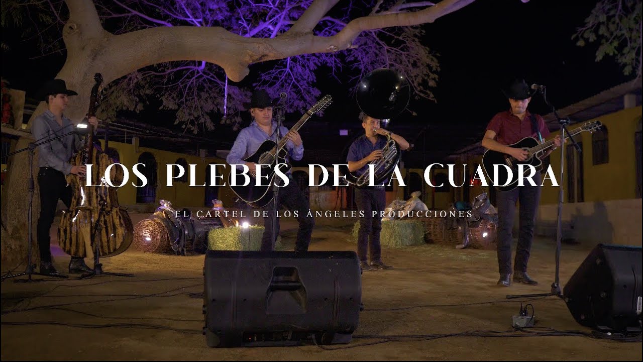 Los Plebes de la Cuadra - Músico poeta y loco (en vivo)