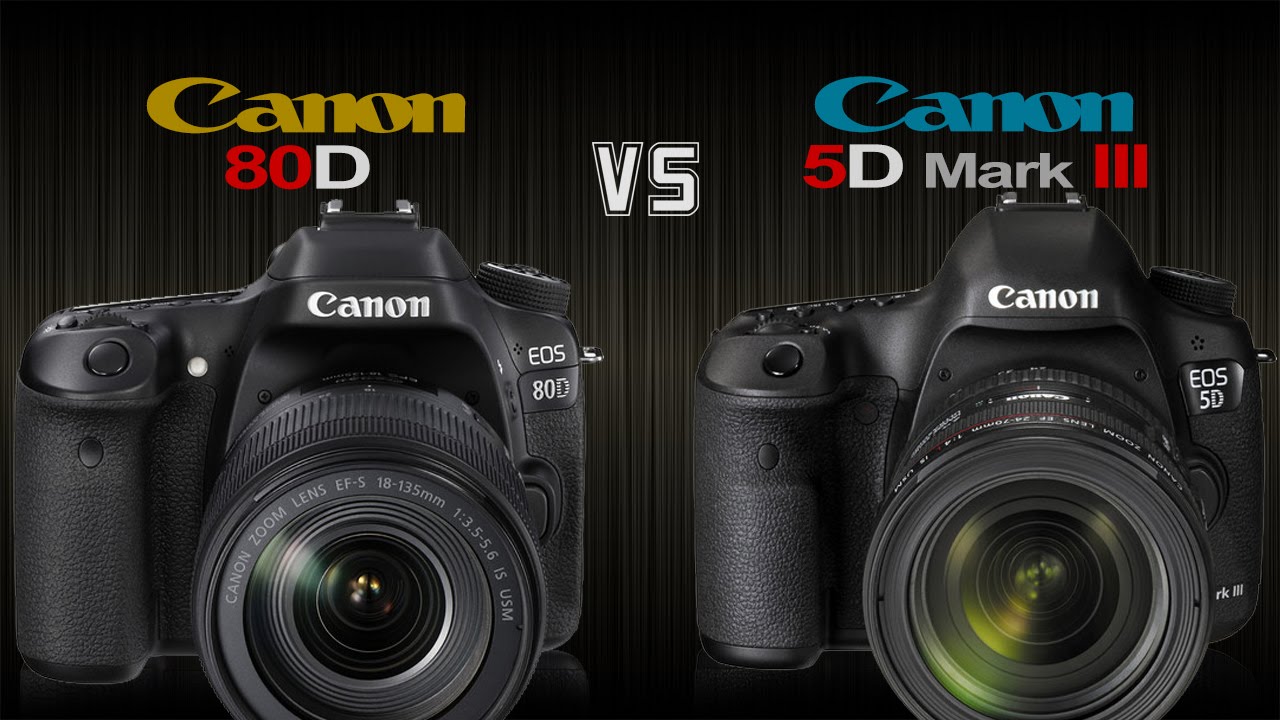 Canon 80D vs Canon 5D Mark III :- Camera Comparison