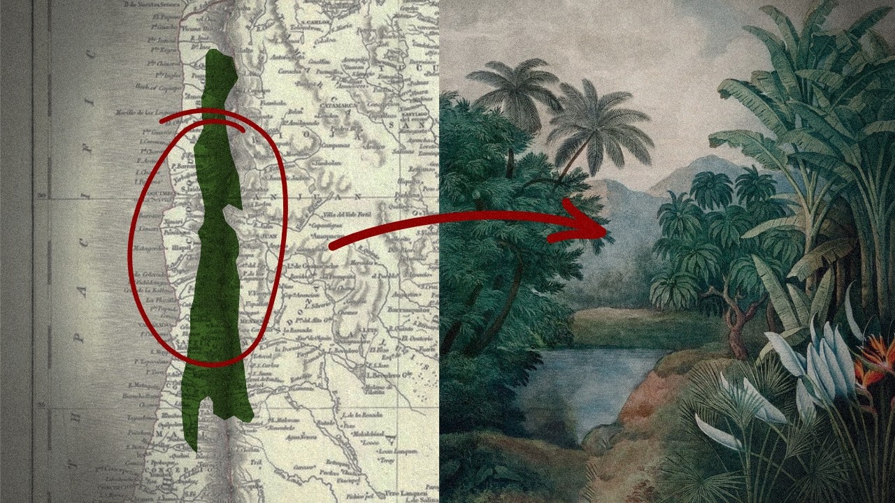 Chile's Impossible Rainforest