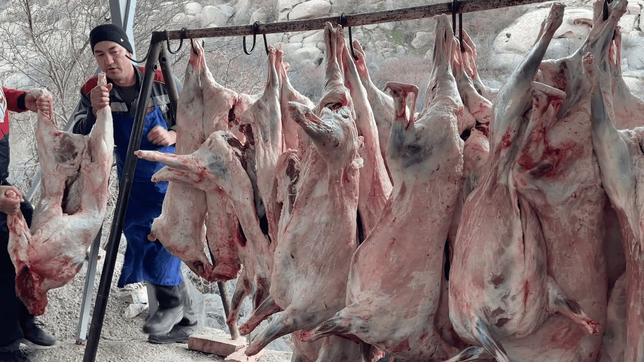 100 lambs per day for barbecue | Uzbekistan Street Food