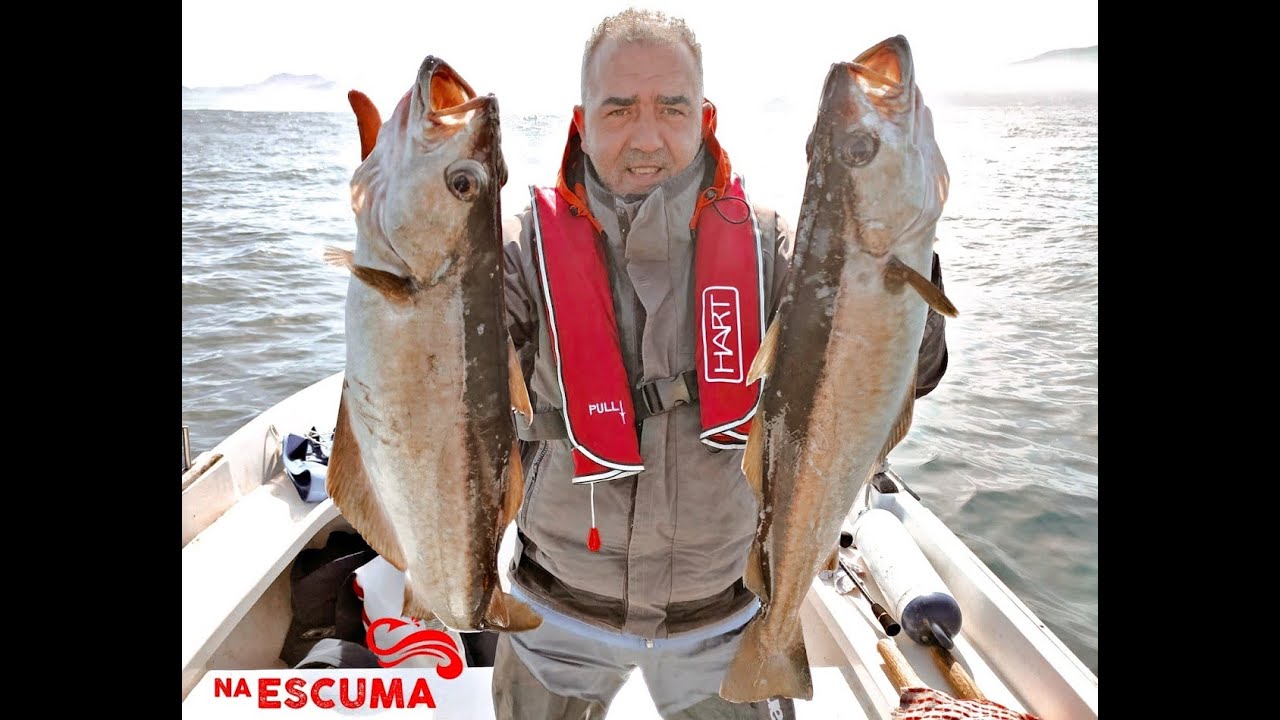 Spinning y Slow Jigging en Galicia