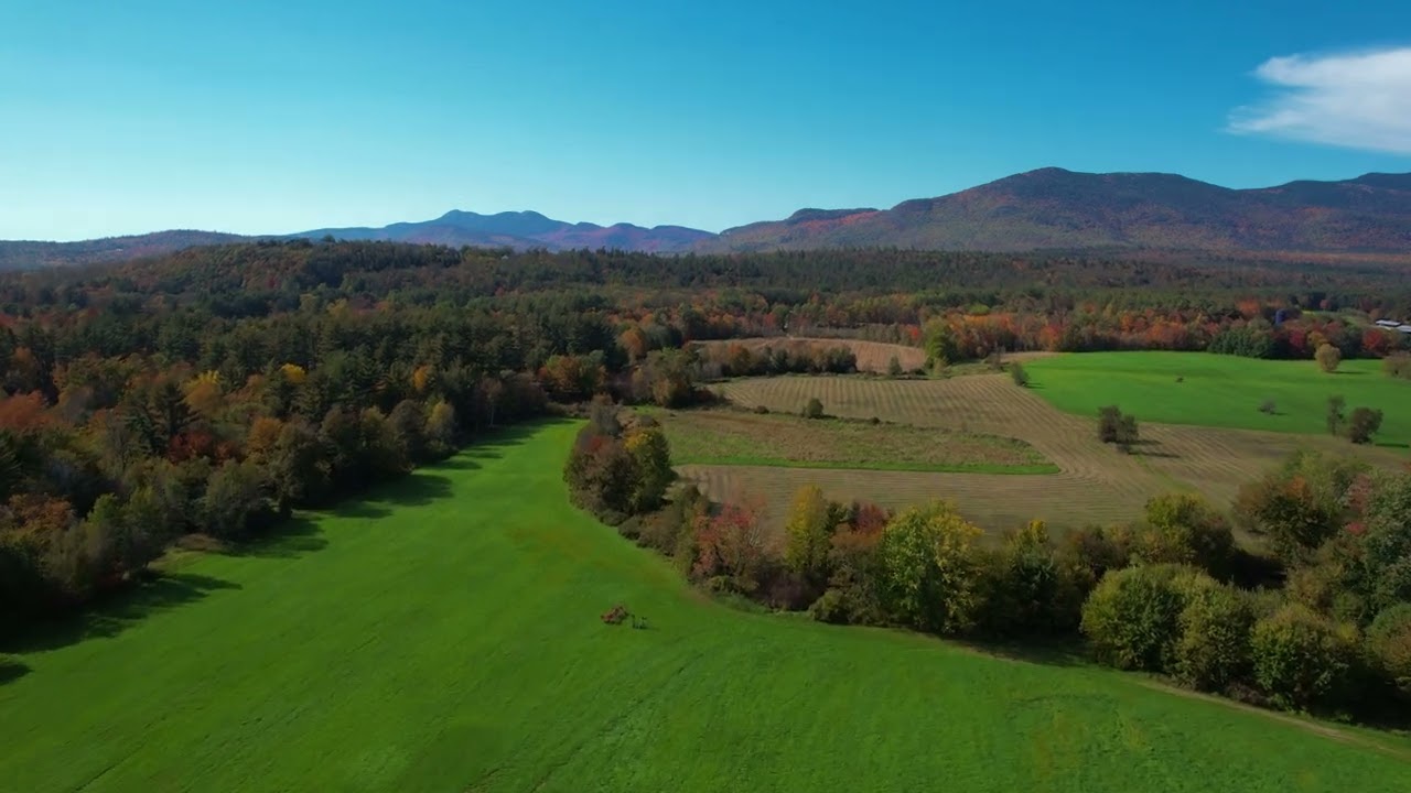 Drone Aerial View of Green Field Landscape  |  4k Video  |   Free HD Video