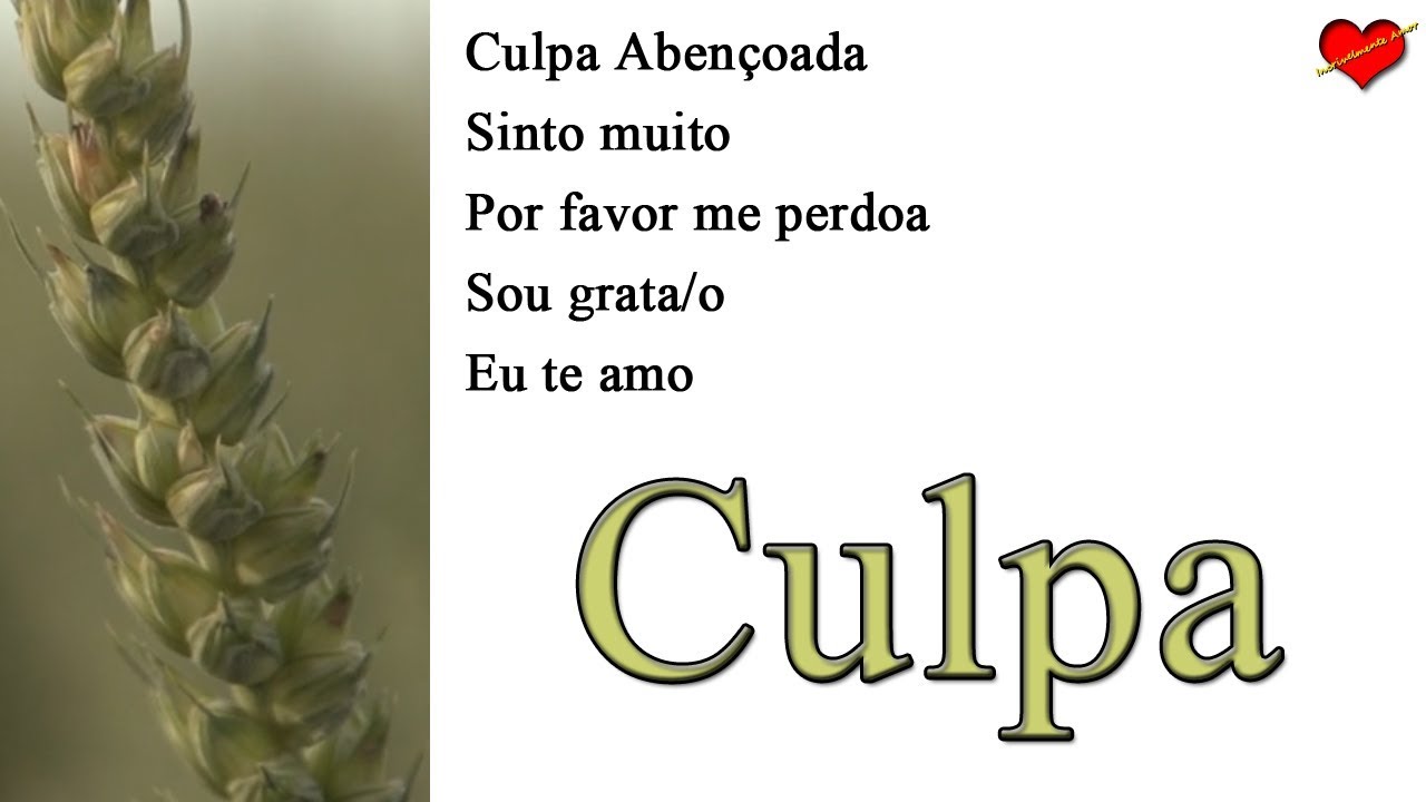 Ho'oponopono para Culpa