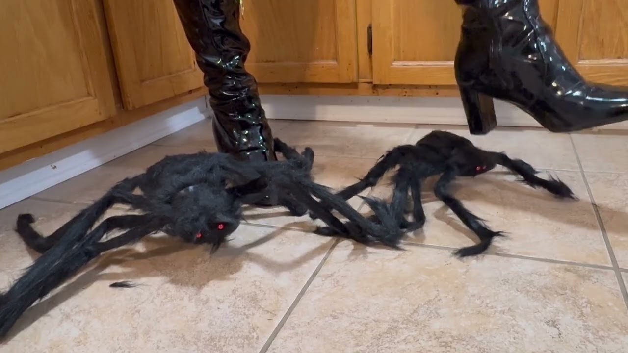 Crushing spiders under my heel boots and rubber boots [Halloween special 🧡🖤]