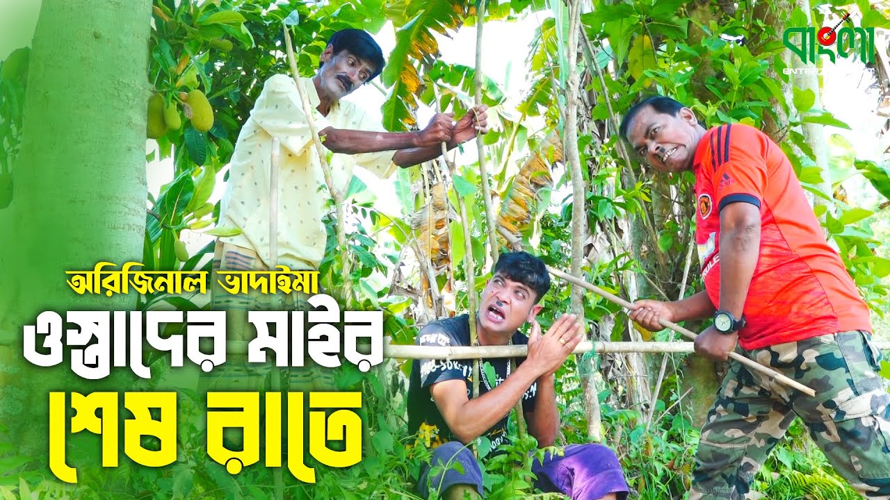 ওস্তাদের মাইর শেষ রাতে | অরিজিনাল ভাদাইমা আসান আলি | Ostader Mair Ses Raite | Vadaima New Koutuk