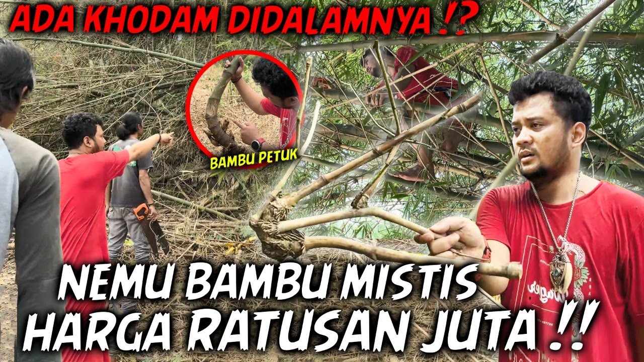 NEMU BAMBU PETUK, INI YANG SERING ORANG PAKE BUAT KLENIK.. DIPERCAYA DALEMNYA ADA KHODAM