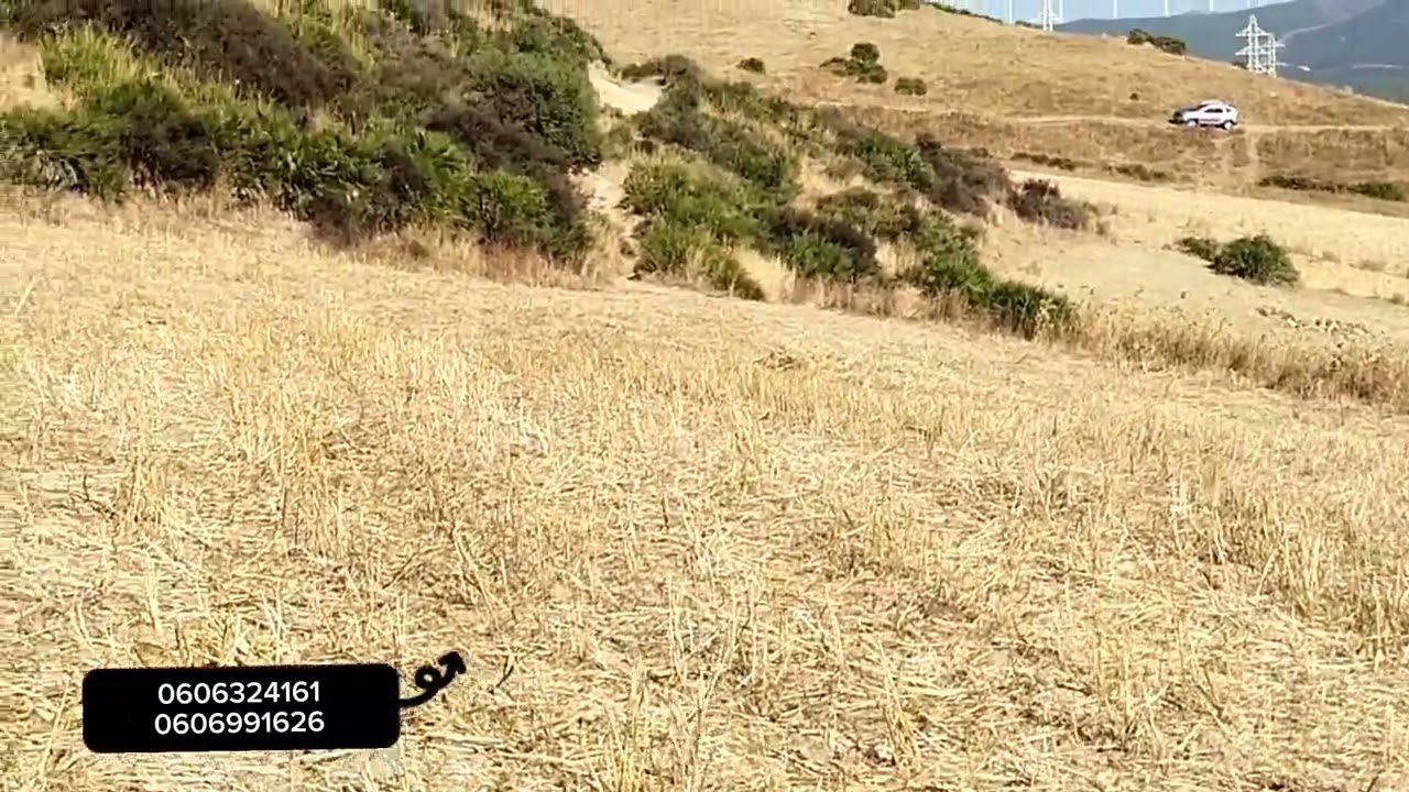 أرض للبيع نواحي طنجة ملوسة والتفاصيل في فيديو