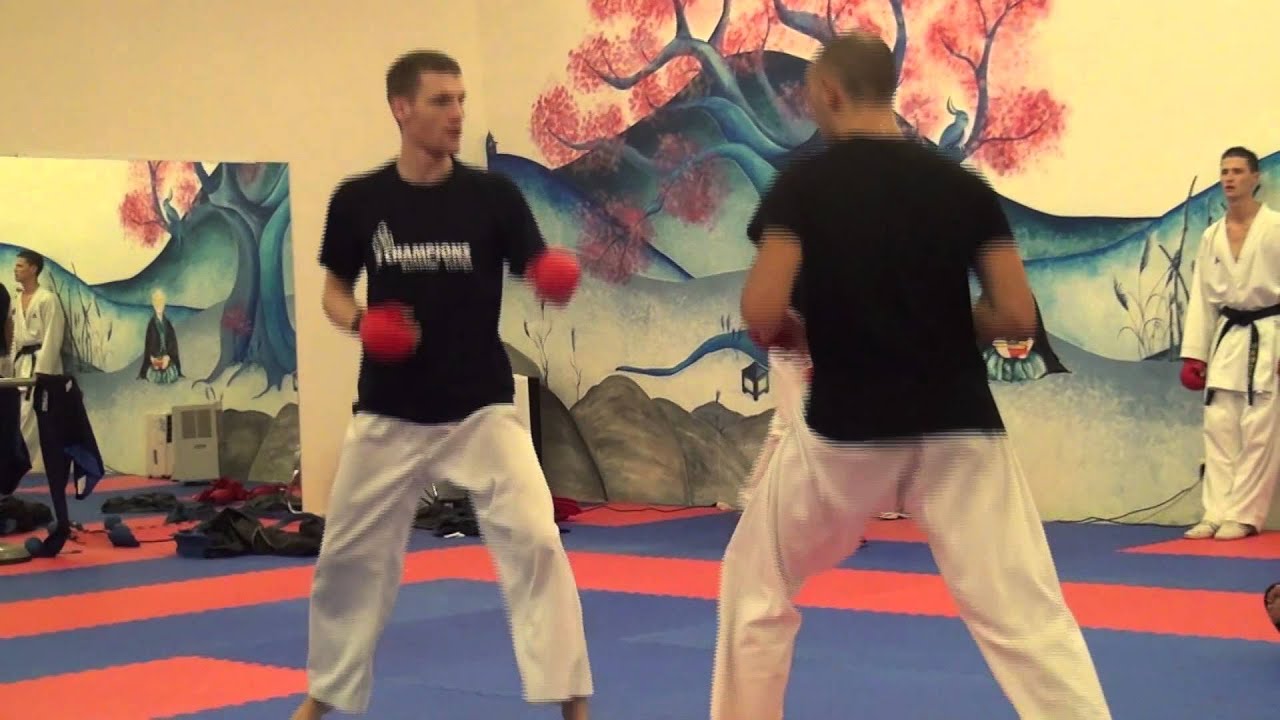 2012: Summercamp4 / Kumite-Blocages