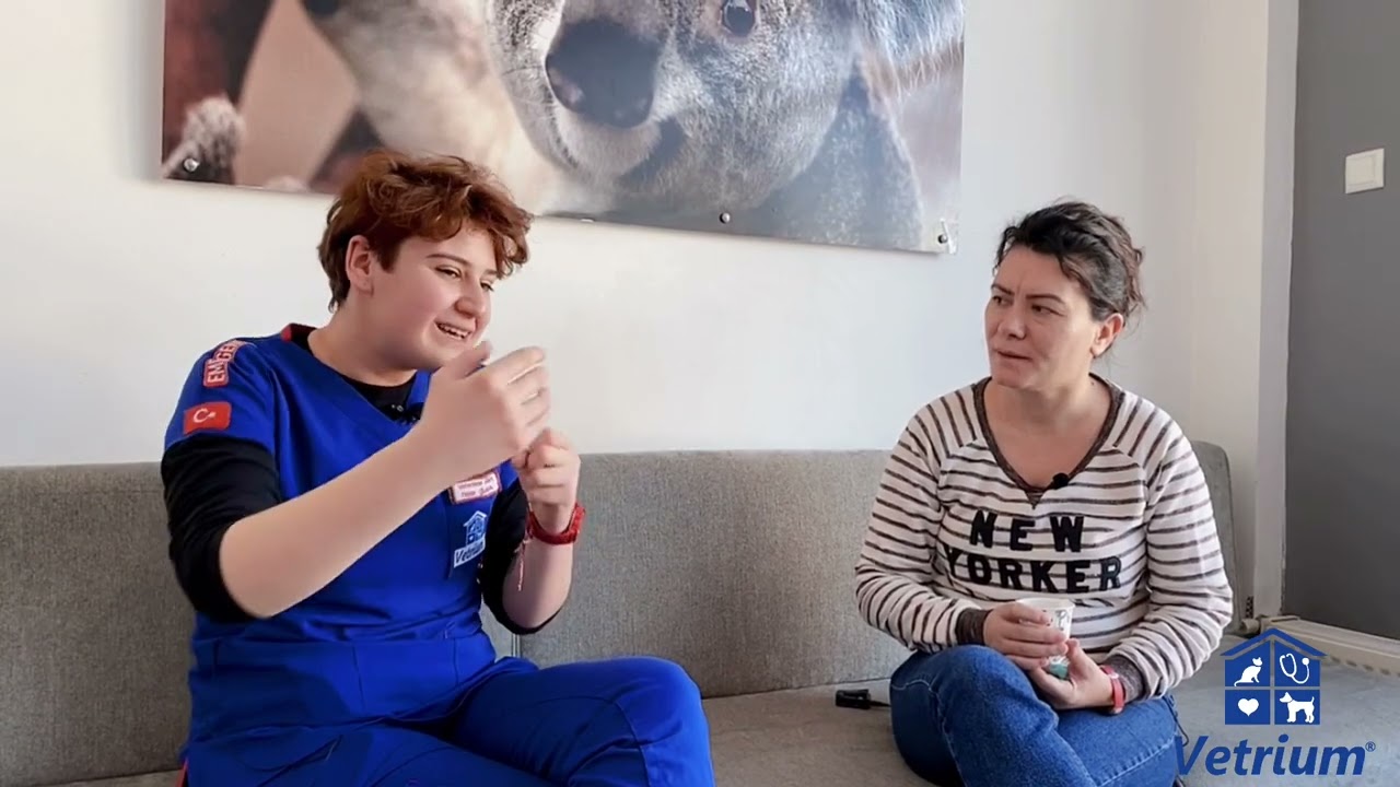 Kedilerde Yaşlanma Belirtileri & Yaşlı Kedi Bakımı
