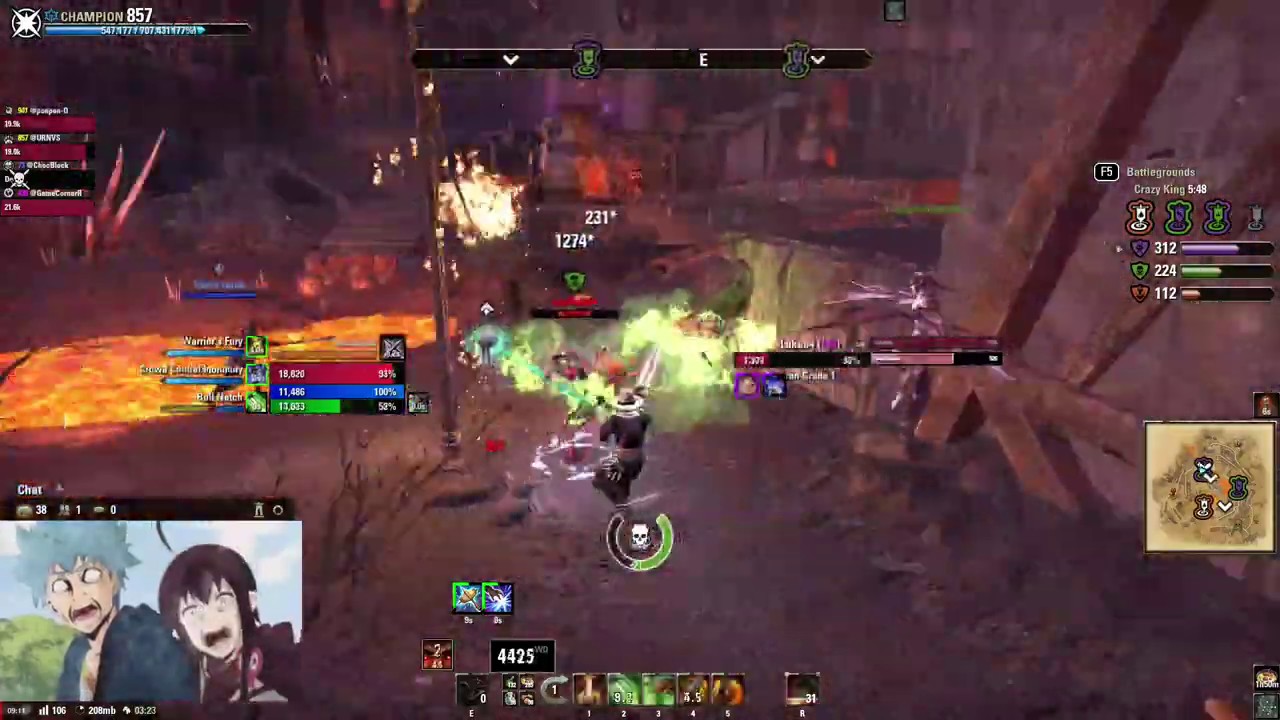 Elder Scrolls Online Stamina Warden (stamden) 2H/S&B BG PVP