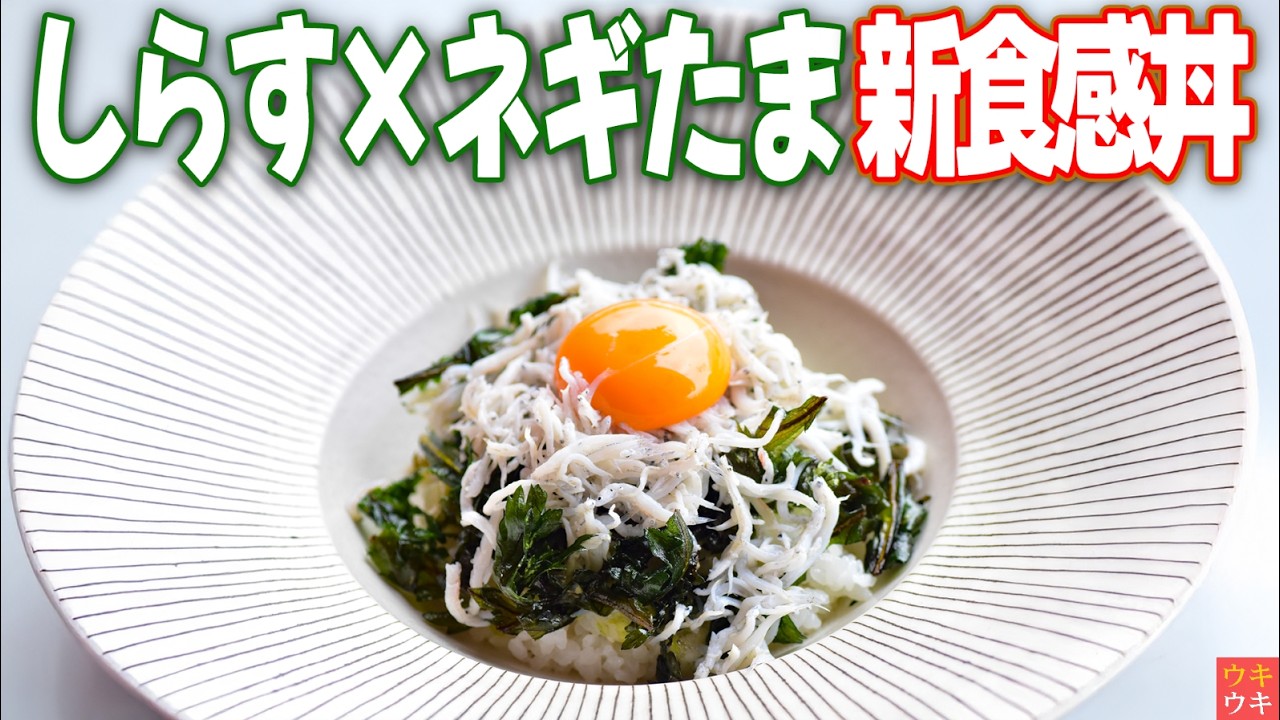 【パリパリ春菊!?】しらす×ネギたま新食感丼が大人すぎる！
