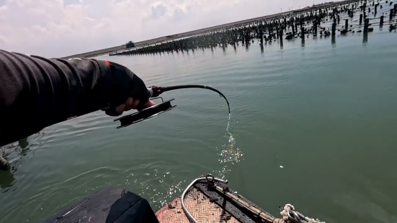 2個點 能拉幾隻魚