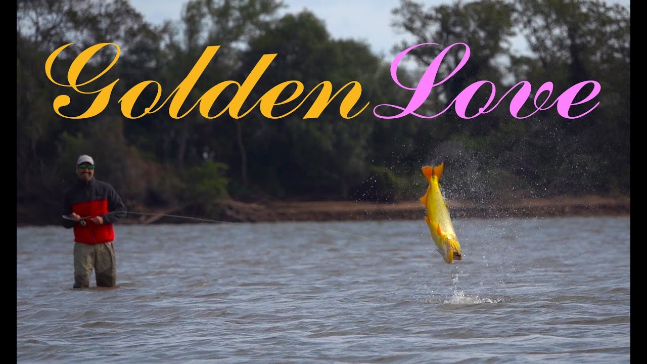 Increible!. El mejor video de pesca de dorados que hayas visto!