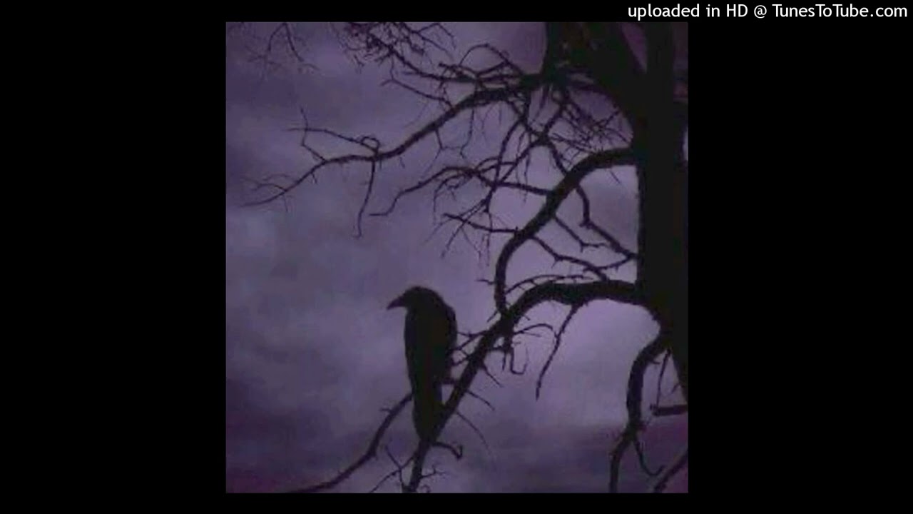 collapse - quannnic + deftones shoegaze type beat