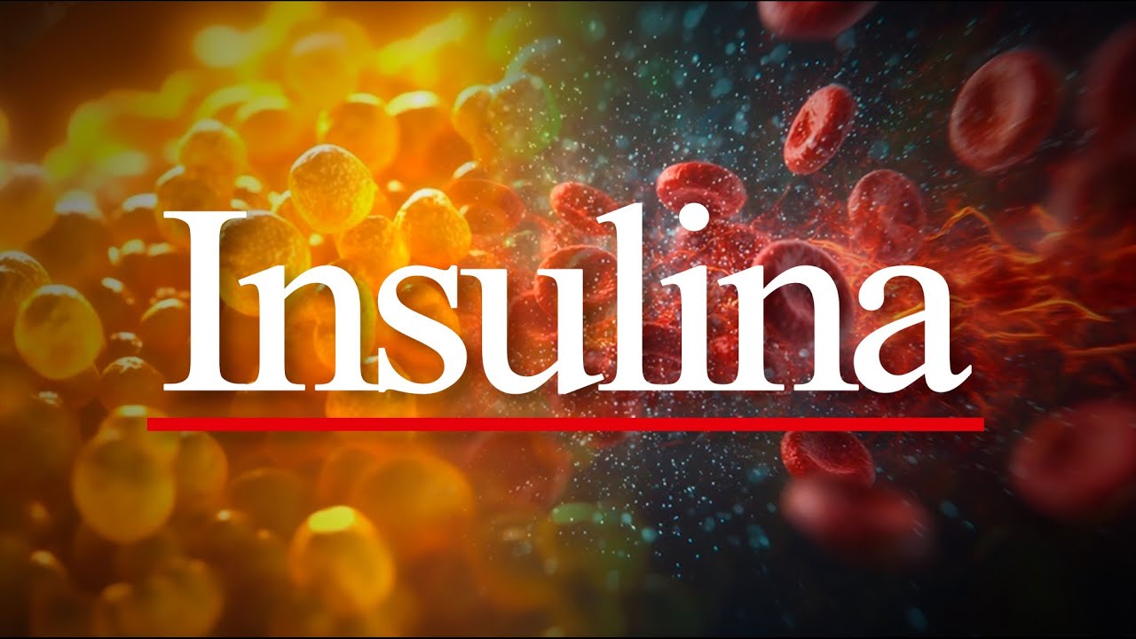 La Hormona Mas Importante De Tu Metabolismo