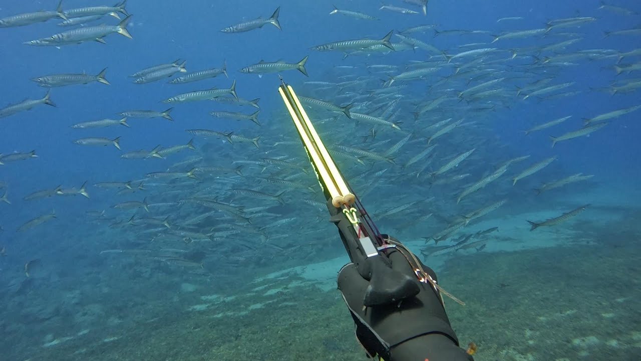 ESTO fue lo que ME PASO con unos BUZOS mientras hacia PESCA SUBMARINA en canarias!!//PESCA SUBMARINA