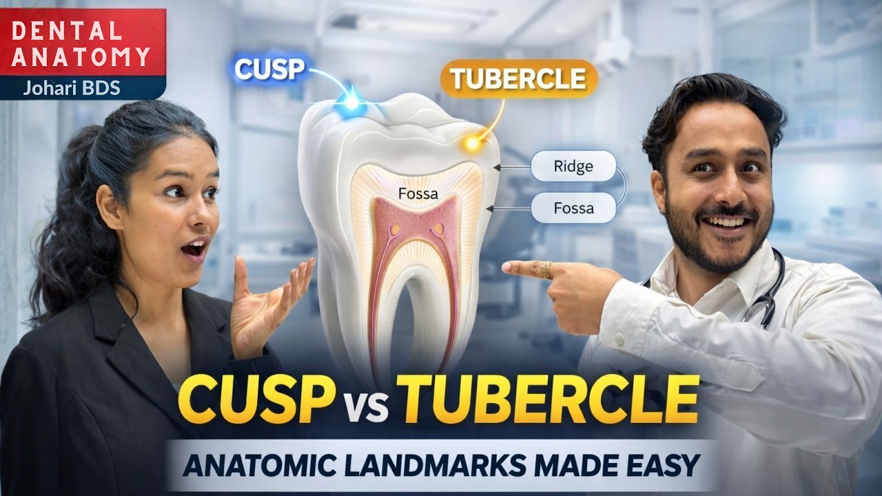 Anatomic Landmarks of Teeth Made Easy | Cusp vs Tubercle | Johari BDS