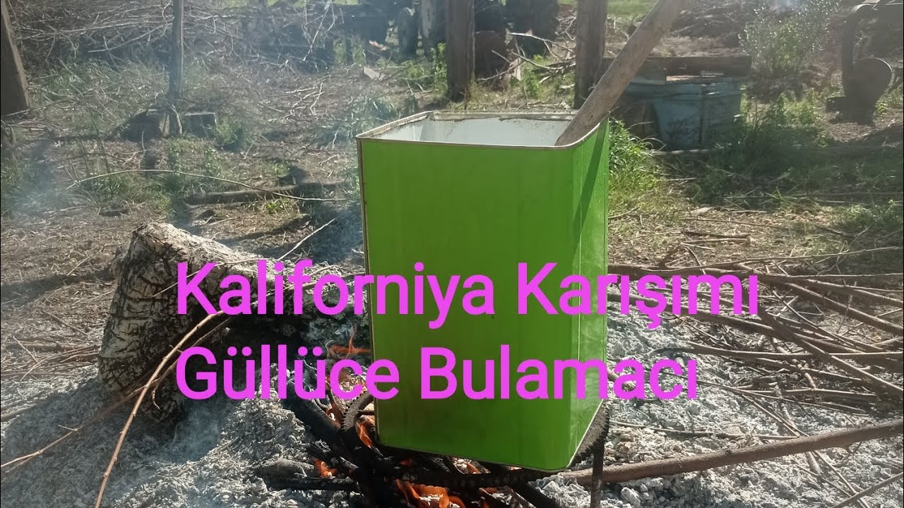 Kaliforniya Karışımı #Gülücebulamacı
