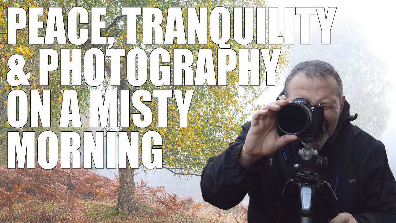 A Misty Morning on Rammamere Heath | Woodand Photography